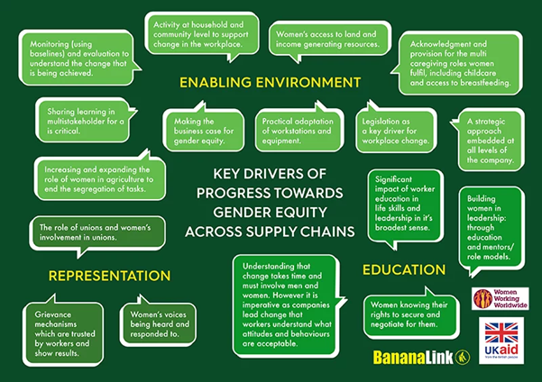 Banana Link's key drivers of of progress towards gender equality across supply chains.