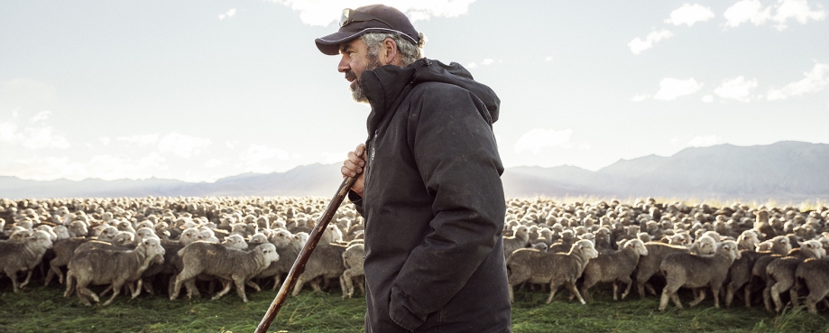 Devold has partnered with select farmers. Will and Ems Murray farm merino at Glenmore Station in the alpine Cass Valley on the western side of Lake Tekapo, in New Zealand’s South Island. Will Murray stands in front of a large group of merino.