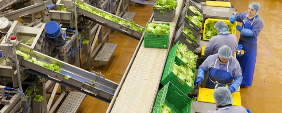 Preparing fresh produce for UK consumers