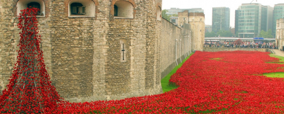 Poppy installation, Blood Swept Lands and Seas of Red, Tower of London 2014