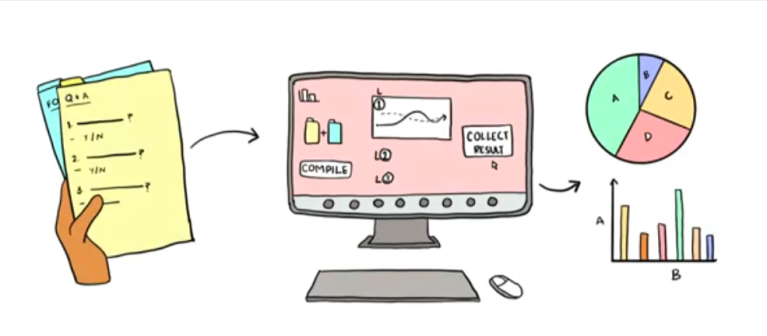 Illustration of gender disaggregated supply chain data