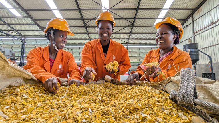 Three smiling women in a factory setting