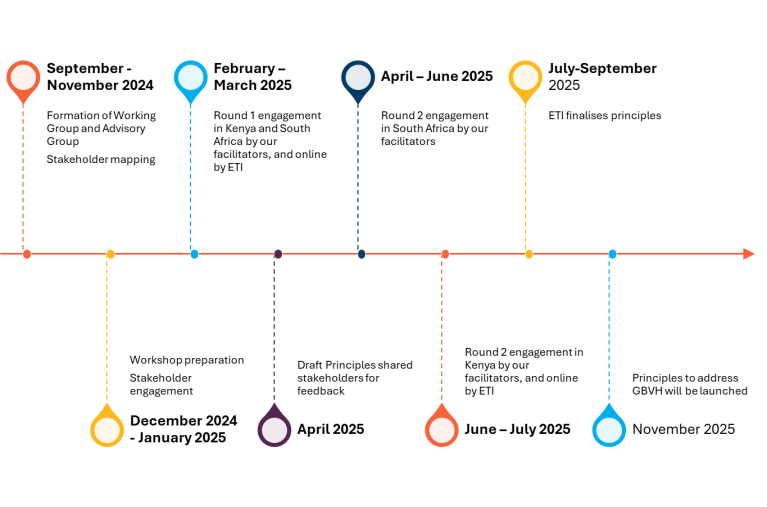 GAIA timeline