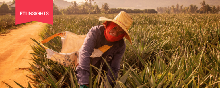 Agricultural worker battling extreme heat at work