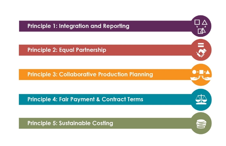 The 5 RPP framework principles