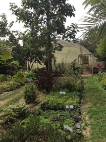 Fairtrade nutritional garden