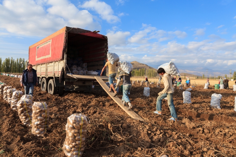 Modern Slavery UK farms