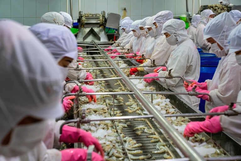 Workers processing shrimp