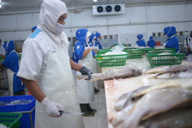 Workers processing fish