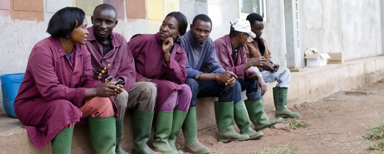 Flower workers, Tanzania