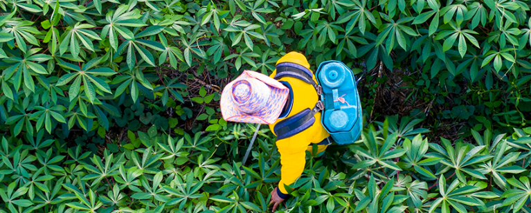 Crop spraying, arial, 2000x340