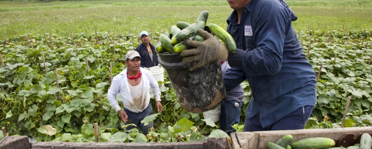 Migrant workers