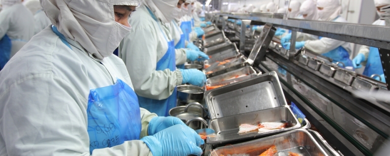 Processing shrimp & seafood