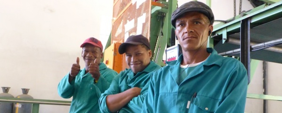 Farm workers who've taken part in the Equal treatment programme that promotes respect for all in the workplace. Male farm workers, South Africa