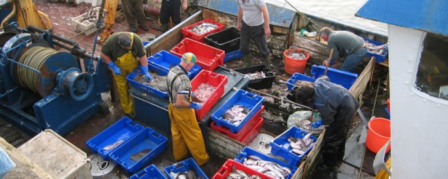 Fishermen unloading their catch at the pier at Portmagee; photocredit: WikiCommons.