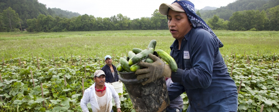 Migrant workers photo courtesy of Laura Elizabeth Poh/lBread for the World