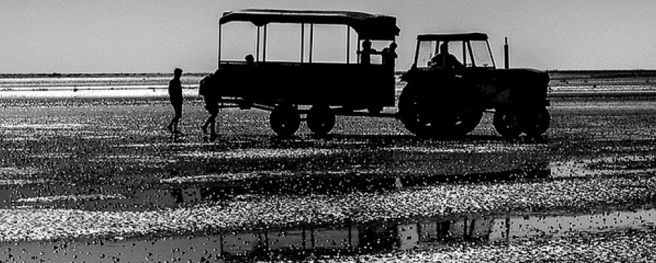 Morecambe Bay, where 23 Chinese workers died, in 2004