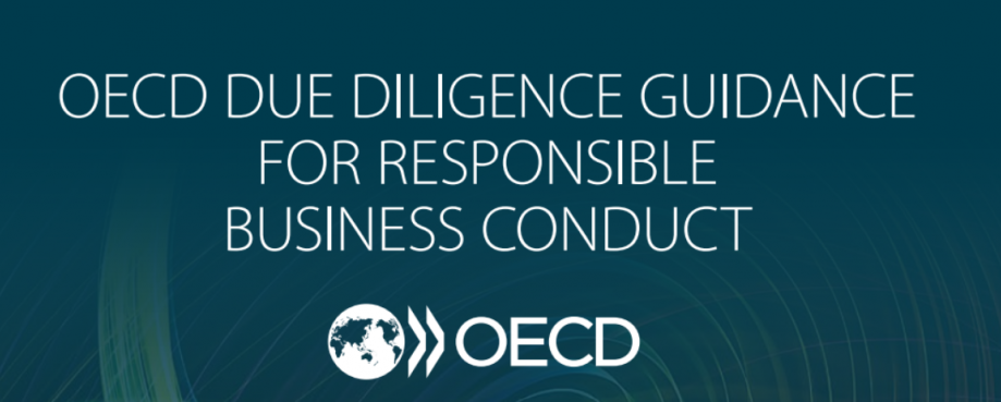OECD Due Diligence Guidance
