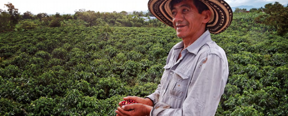 Cocoa harvest, ALDI SOUTH