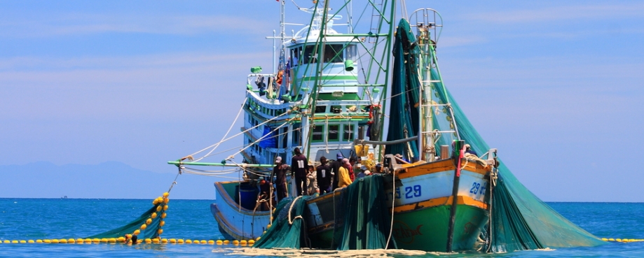 Thai government starts to act on fishing industry problems | Ethical  Trading Initiative
