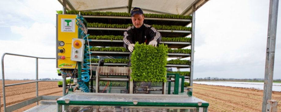 Agricultural worker, UK