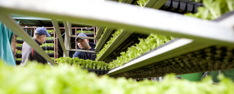 Agriculture workers, UK