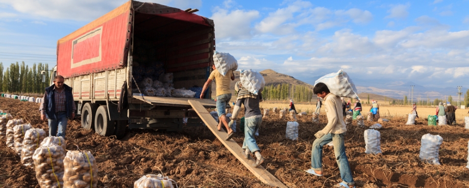 Agricultural migrant workers