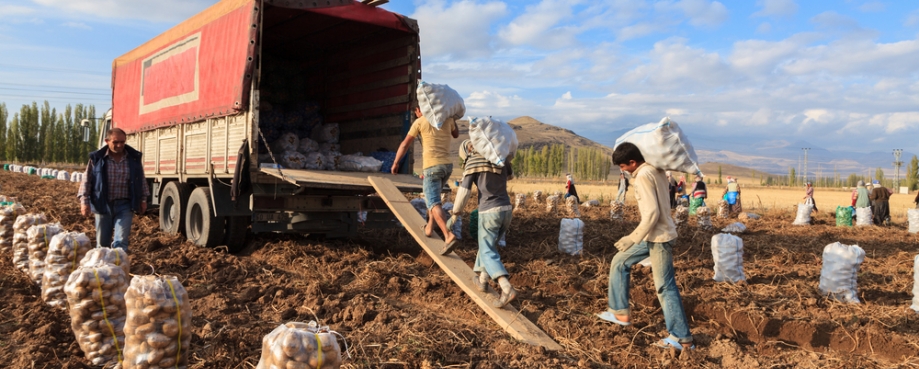 Modern Slavery UK farms