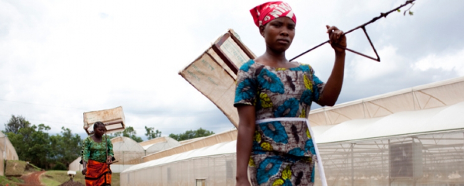 Why are so many people around the world are still trapped in poverty despite being in work? Female agricultural worker, Tanzania