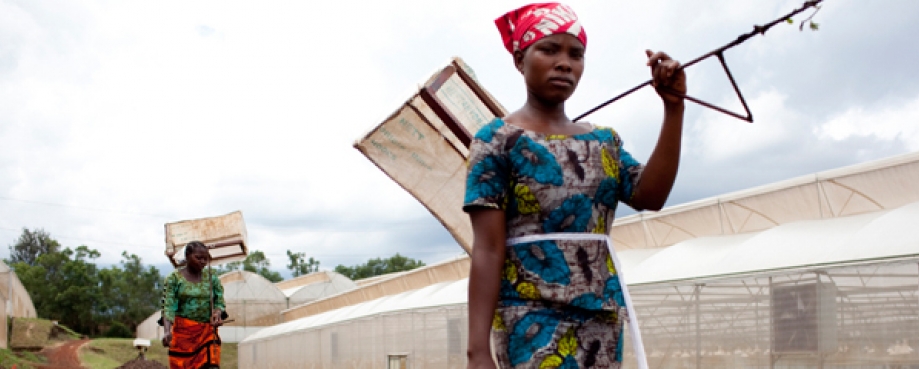 Female agricultural worker, Tanzania