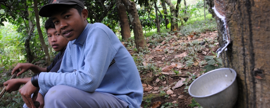 Child rubber plantation workers in Indonesia