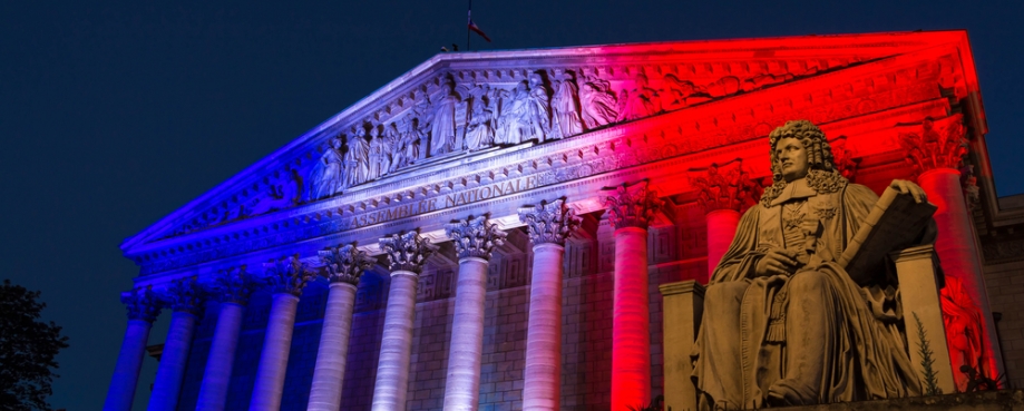 French National Assembly courtesy of Petr Kovalenkov-Shutterstock