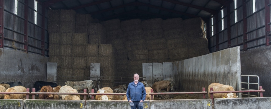 An Irish farmer 