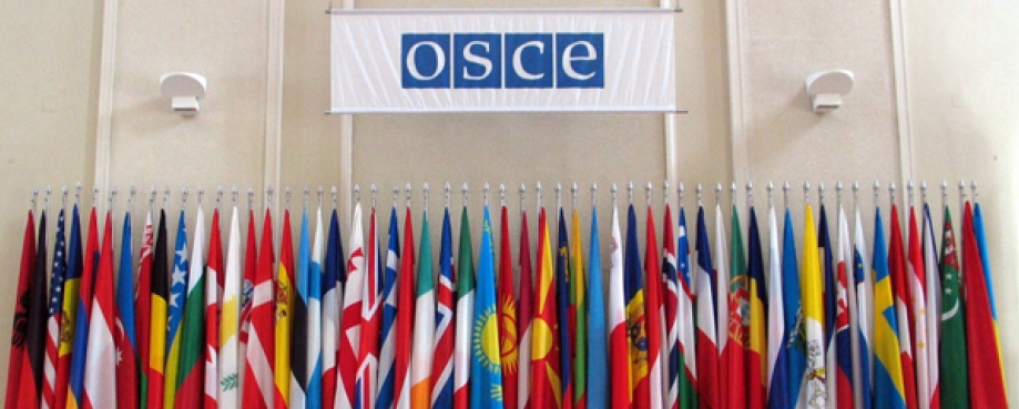 Human trafficking – the beginning of the end? Flags at the OSCE conference, Vienna