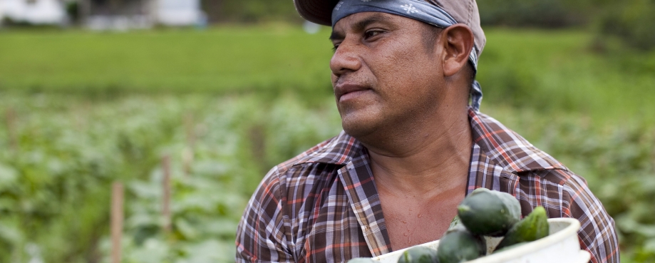Photo by Laura Elizabeth Pohl/Bread for the World Migrant worker