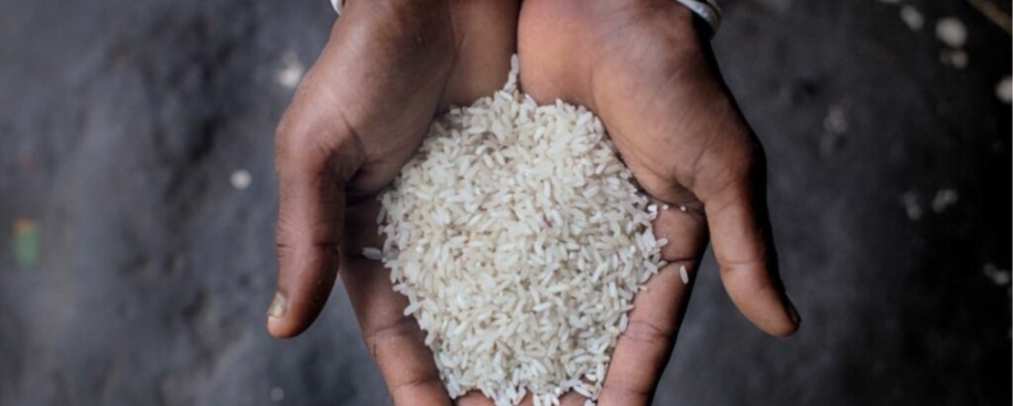 Rice produced in Bangladesh. (Photo credit: Fabeha Monir/Oxfam)