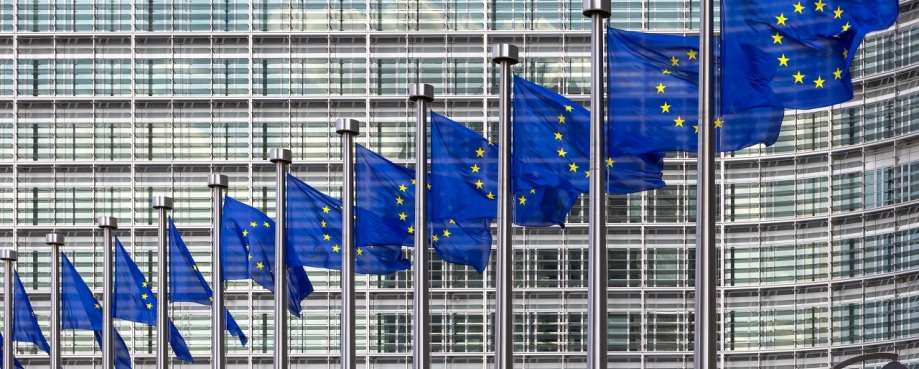 Row of EU Flags in front of the European Union Commission building in Brussels. Photo credit: VanderWolf/ Shutterstock.