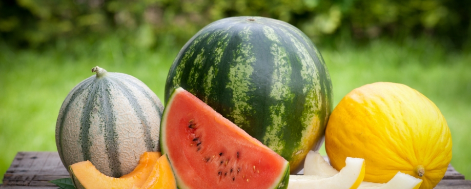 Melons copyright Christian Jung/Shutterstock