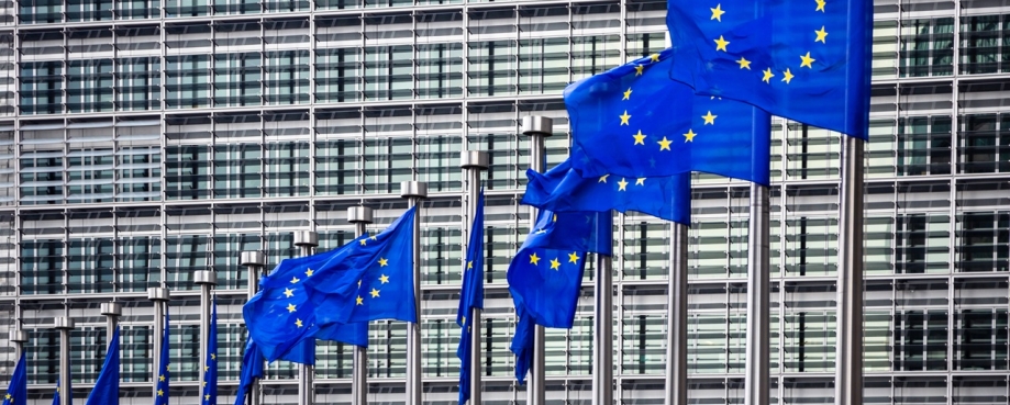 Row of EU Flags in front of the European Union Commission building in Brussels.