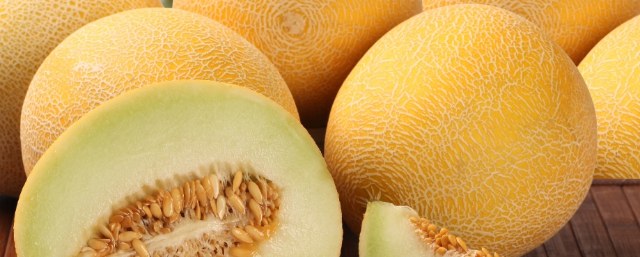 Image courtesy of Shutterstock