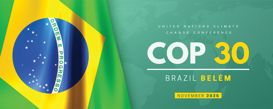 COP30 illustration, featuring the flag of Brazil