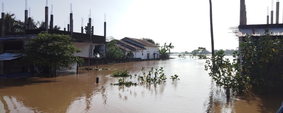 Muthur, Sri Lanka, November 30th 2025 - Flooded houses surrounded by murky water. Photo credit: Shutterstock.