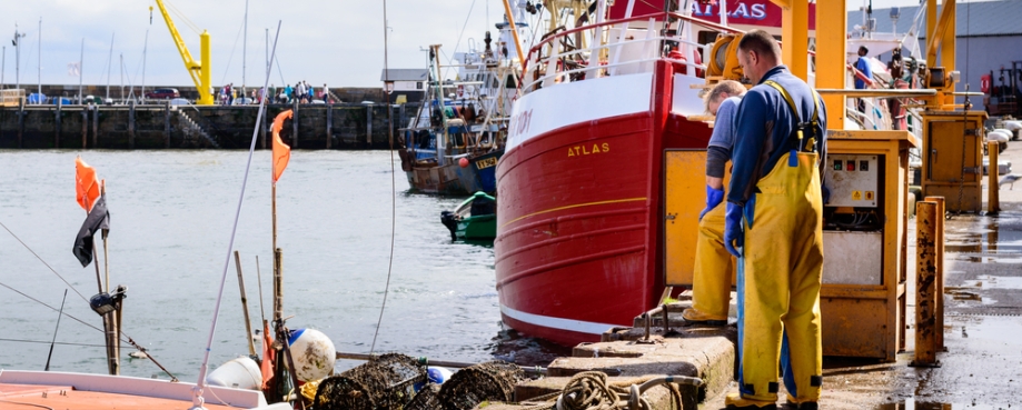 Fishing dock workers, Scarborough, UK