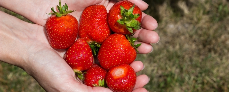 Image courtesy of Shutterstock