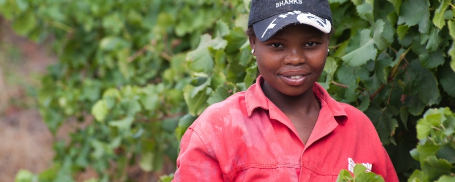 A South African winery worker in Stellenbosch