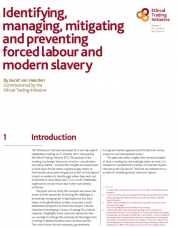 Identifying, managing, mitigating and preventing forced labour and modern slavery Cover page