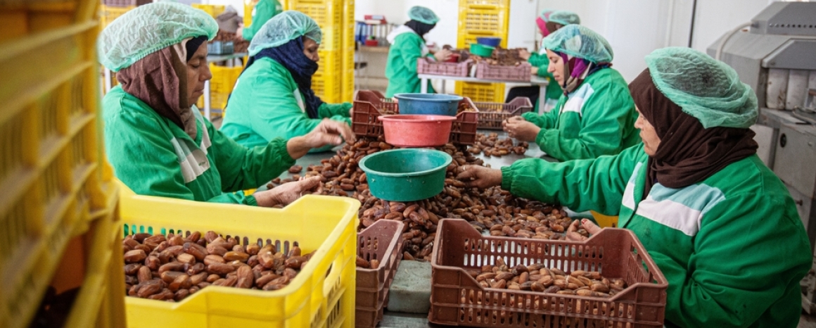 Processing nuts