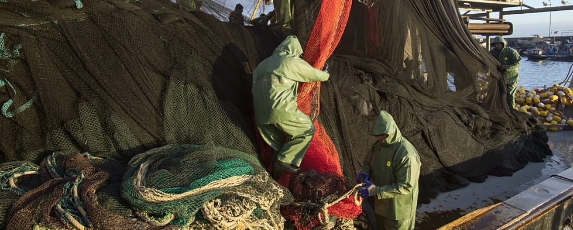 Fishers working nets, Türkiye 