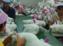 The toy industry must move beyond auditing