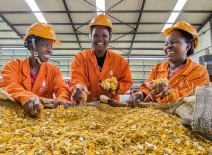 Three smiling women in a factory setting